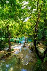 idyllic scenario with a mountain river in the forest