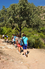 Group of women hikers in the Sierra de Andújar Natural Park, Sierra Morena, province of Jaen, Spain