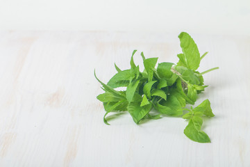 Fresh mint