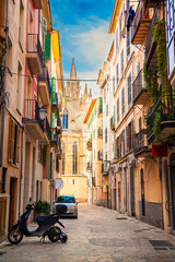 the street of Palma de Mallorca
