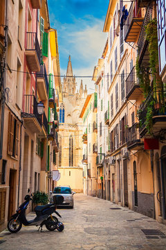 The Street Of Palma De Mallorca