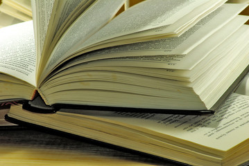 image of open book