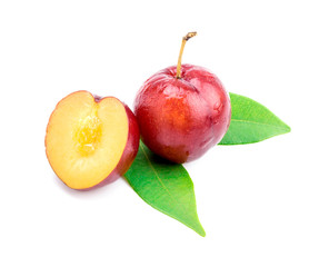 Red plum fruit