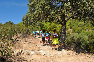 Fototapeta na wymiar Grupo de mujeres senderistas en el Parque Natural Sierra de Andújar, Sierra Morena, provincia de Jaén, España 
