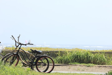 Fototapeta na wymiar 真夏の海と自転車