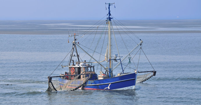 Krabbenkutter beim Fang im ostfriesischen Wattenmeer in der Nordsee vor Norderney,Deutschland
