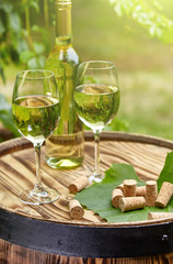 Garden with white wine and bottles