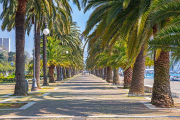 Promenade alley with palm trees in La Spezia, Italy