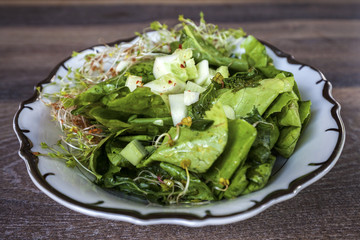 Organic green salad with sprouts and cucumbers