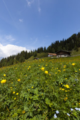 Hirzer Hochplateau im Passeiertal, Südtirol