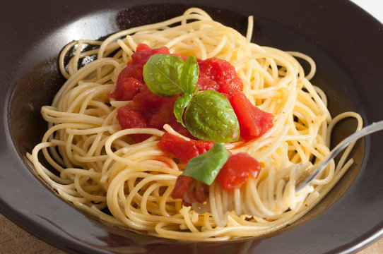 spaghetti with fresh tomato and basil