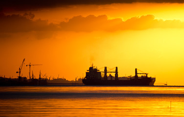 Silhouettes of Cranes and Cargo Ships