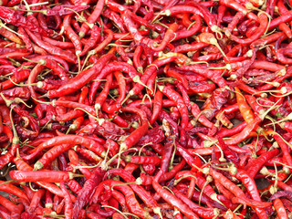 Fototapeta premium Red chili background