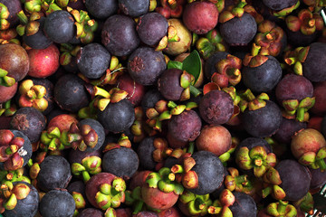 Violet Mangosteen background