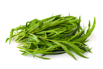 Tarragon herbs close up isolated on white