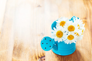  Flowers in watering can