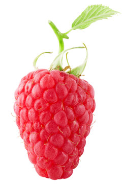 raspberry isolated on the white background