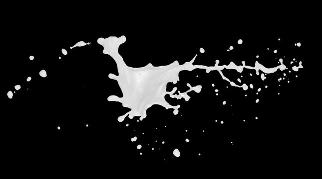 milk splash isolated on the black background