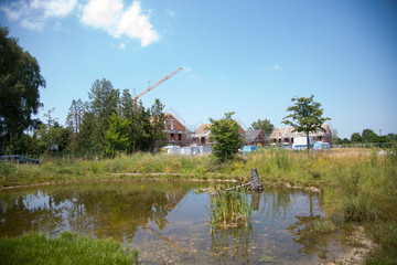 Ausgleichsfläche vor Neubaugebiet