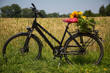 Fototapeta na wymiar Fahrrad mit Sonnenblumen