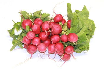 radis rouge