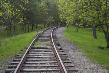 Fototapeta na wymiar Train tracks in the woods