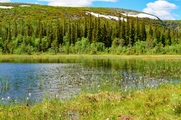 Lovely mountain lake