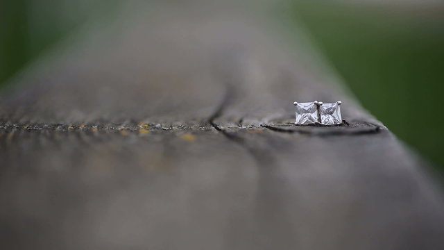 Allegory of the value of nature. Ant finds diamonds