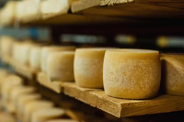 Fotobehang Zuivelproducten wielen van kaas in een rijpend pakhuis zuivelkelder