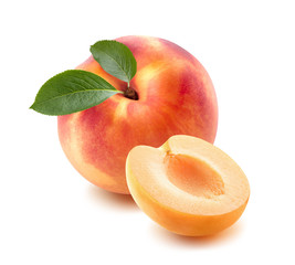 Single peach, apricot half isolated on white background © yggdrasil