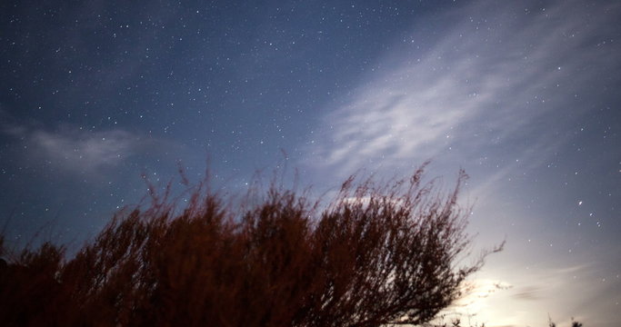 Night lapse of starry night 