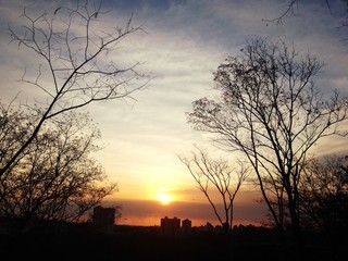 Sunset at the park - Brazil