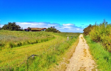 Idyllische Landschaft mit Ferienhaus, Nordseeinsel Rømø, Bolilmark