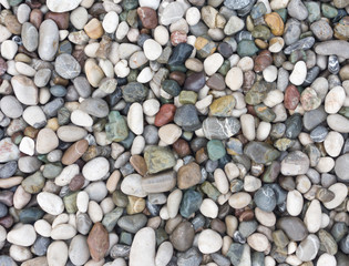 sea stones