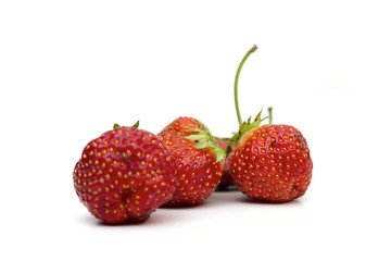 strawberries on the white background