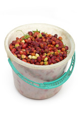 strawberries on the white background