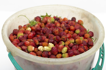 strawberries on the white background