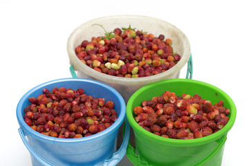 strawberries on the white background