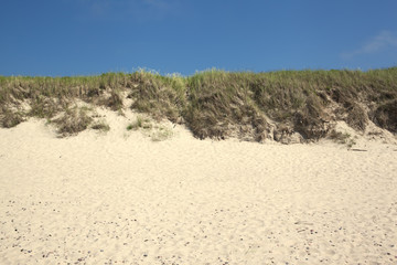 Dune on sunny beach (angle from sea view)