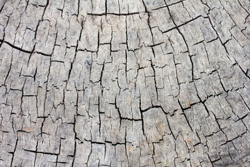 art grunge floor wooden background and texture  design