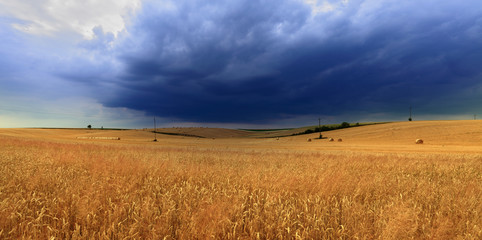 Chmura deszczowa nad polami ze zbóżem.