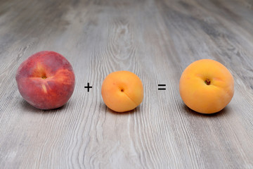 Ibrido tra albicocca e pesca