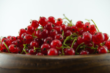 Red currants