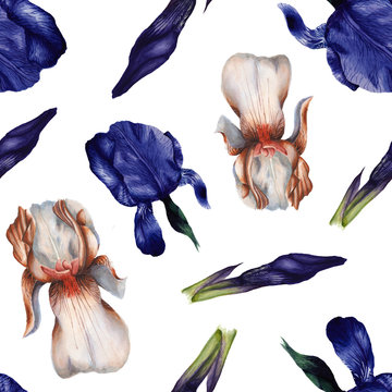 Watercolor iris flowers pattern 