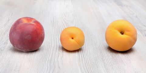 Ibrido tra albicocca e pesca