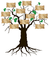 Family Tree
