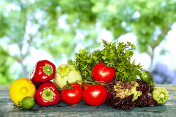 Assortment of fresh vegetables on table in garden