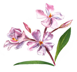 An abstract purple watercolor flower