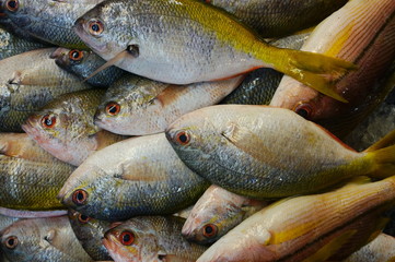 На азиатском рыбном рынке