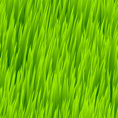Green grass seamless pattern. Vector illustration